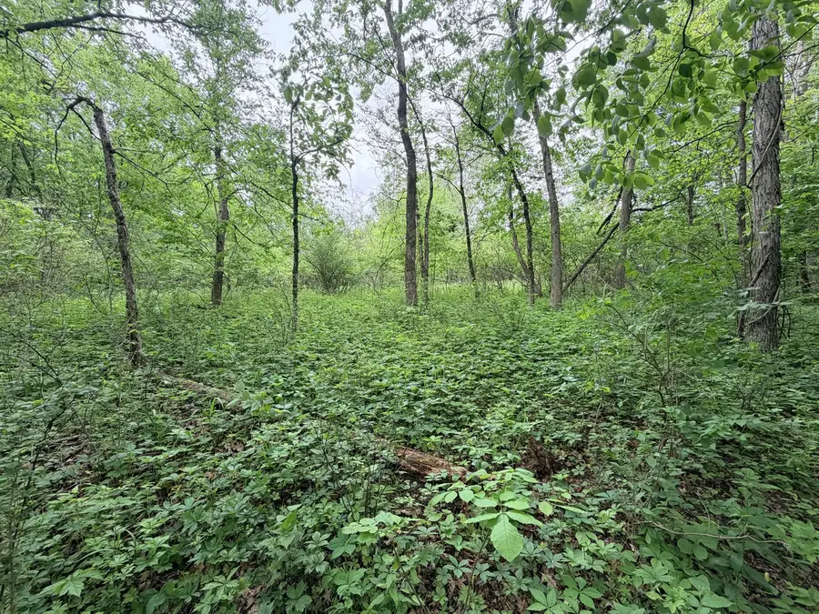 2817 E 2525th Road, Marseilles, IL 61341 - #2