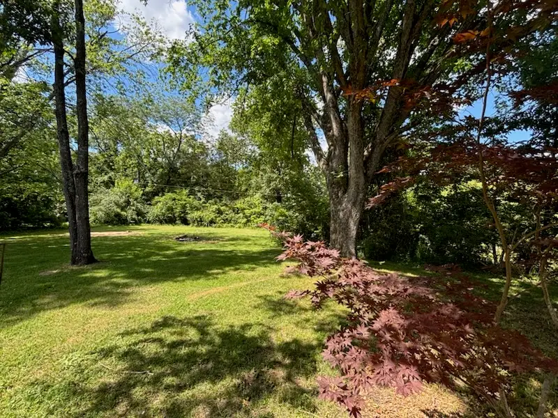 137 Peachtree Lane, Carbondale, IL 62902 - #3