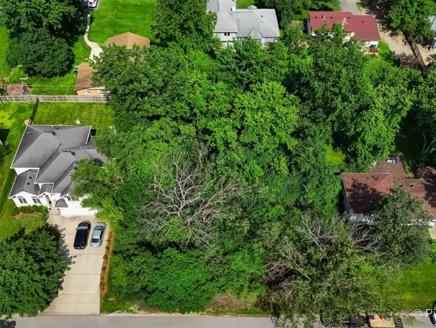 4N Niles Avenue, Addison, IL 60101 - #2