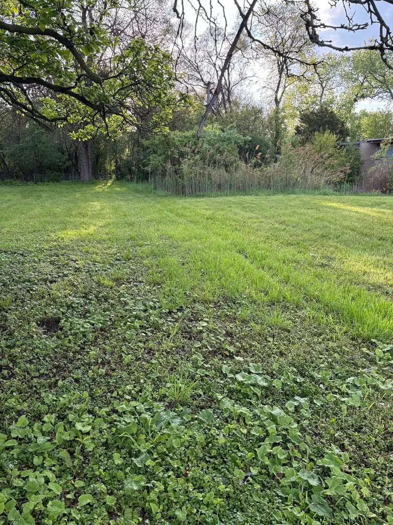 13526 S Kedzie Avenue, Robbins, IL 60472 - #3