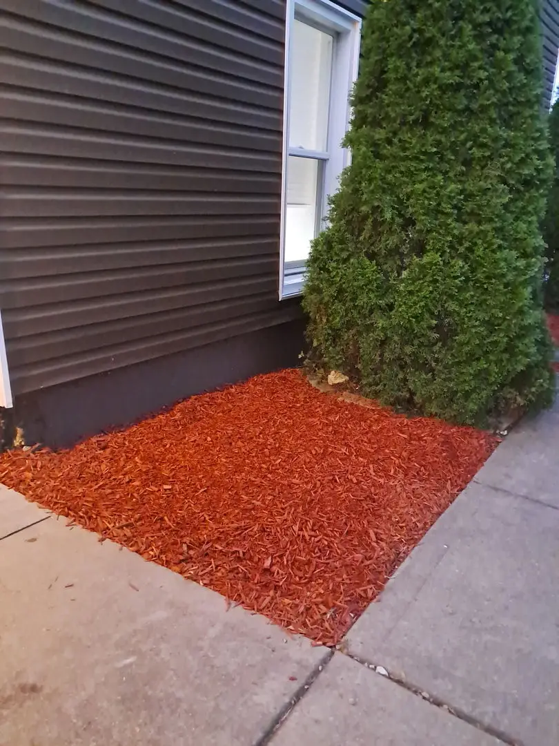 1021 N Hickory Street, Joliet, IL 60435 - #3