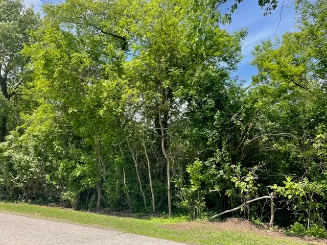 Lot 0 Pine Street S, McHenry, IL 60051 - #1
