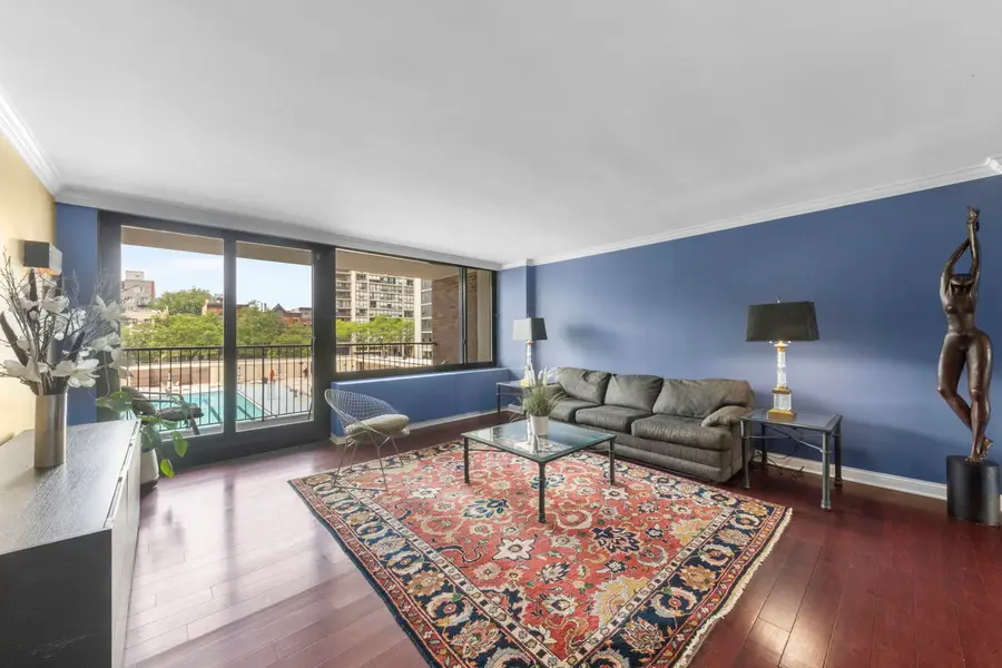 1555 N Sandburg Terrace #305K, Chicago, IL 60610 - #2