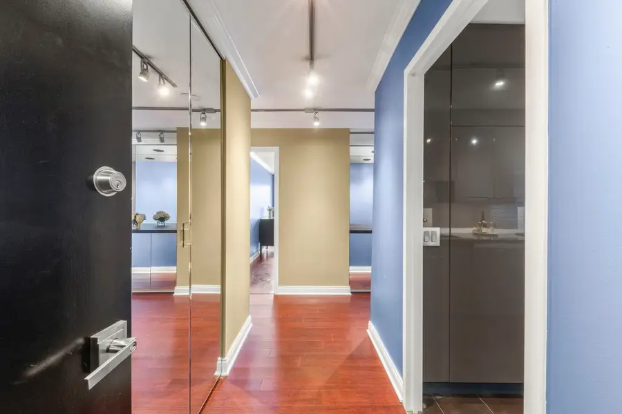 1555 N Sandburg Terrace #305K, Chicago, IL 60610 - #3