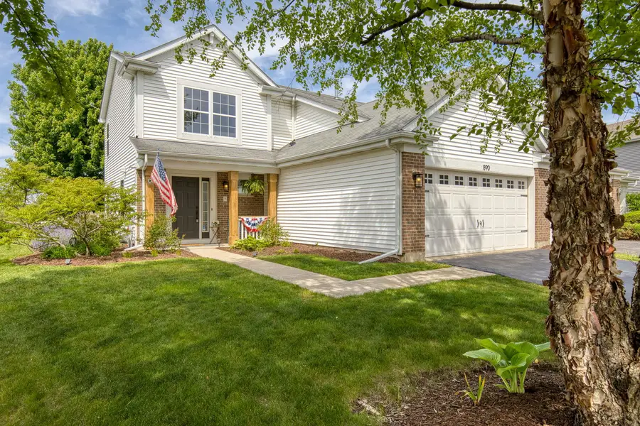 890 Richard Brown Boulevard, Volo, IL 60073 - #2