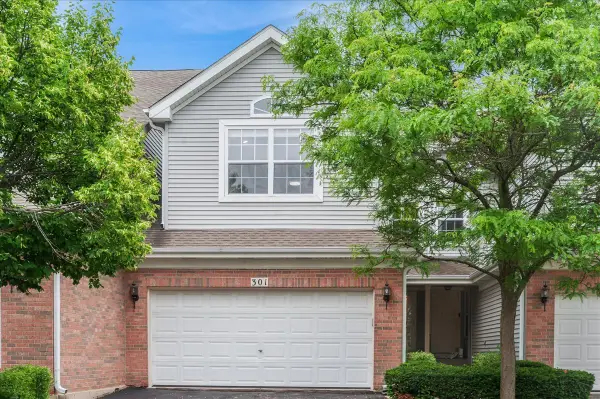 301 Lucille Lane, Schaumburg, IL 60193