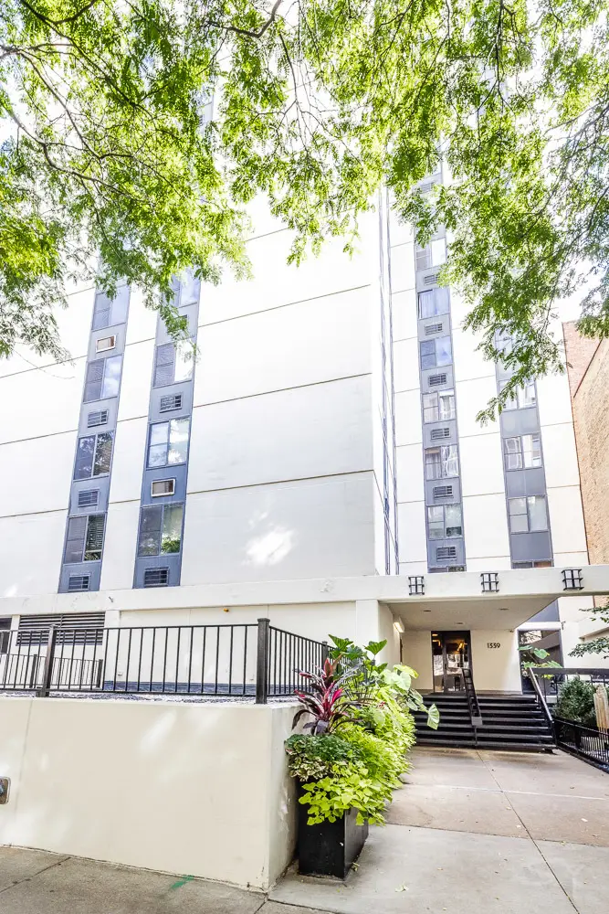 1339 N Dearborn Street #15A, Chicago, IL 60610 - #1