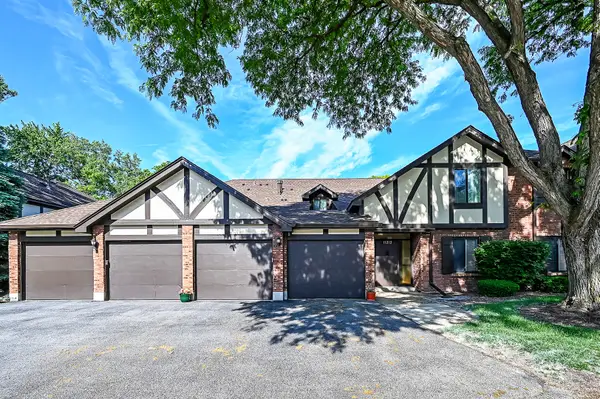 11212 Cottonwood Drive #23B, Palos Hills, IL 60465