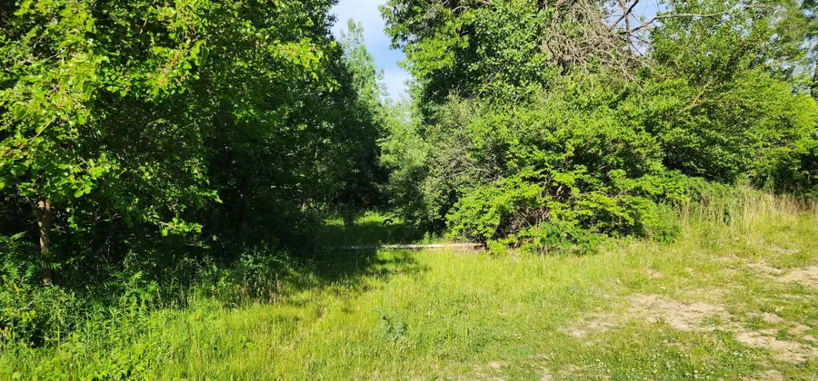 574 Caleb Road, Braidwood, IL 60408 - #3