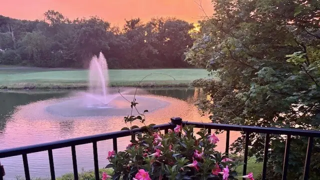 14500 Golf Road, Orland Park, IL 60462 - #3