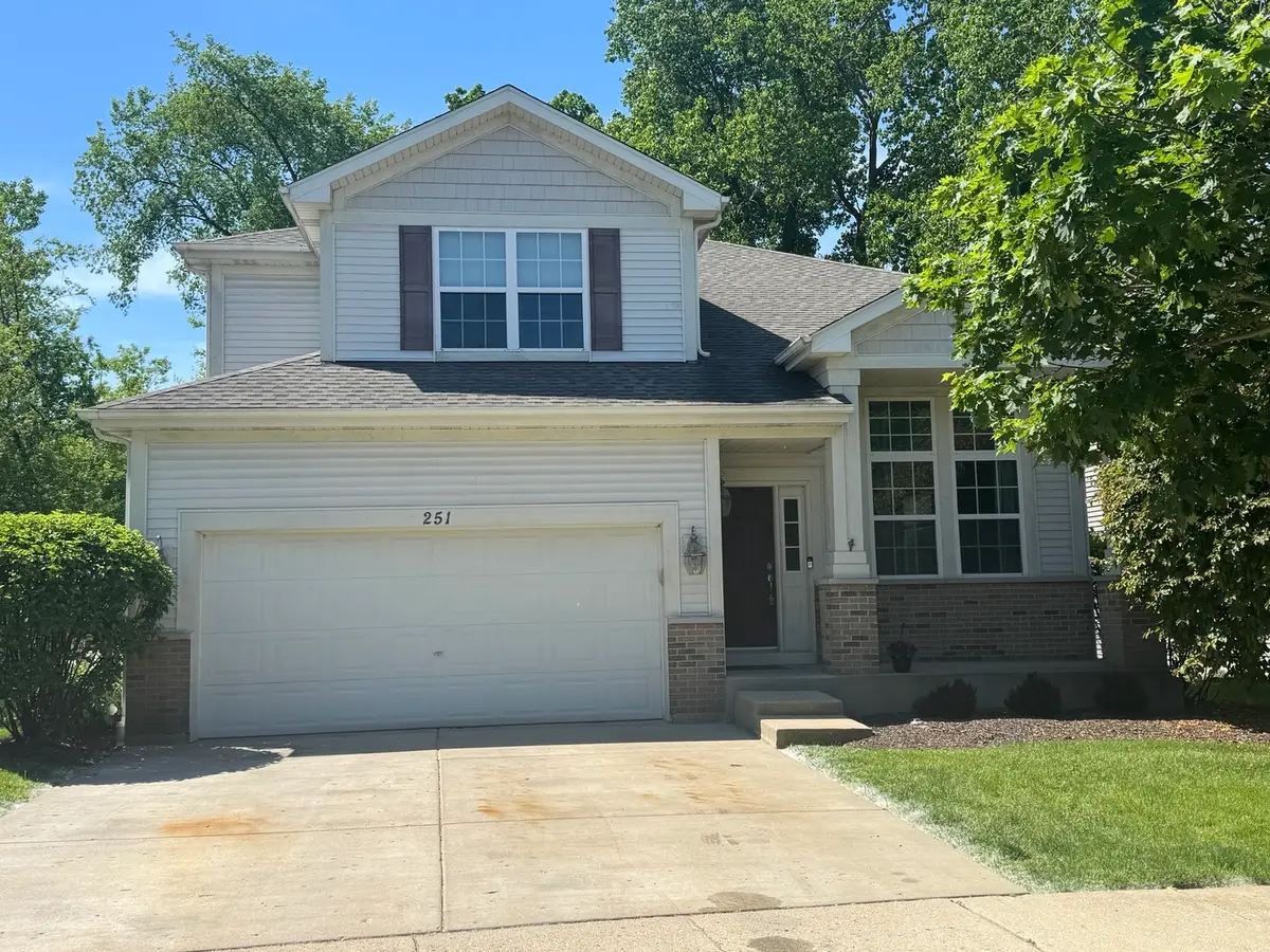 251 S Cornerstone Drive, Volo, IL 60020 - #1