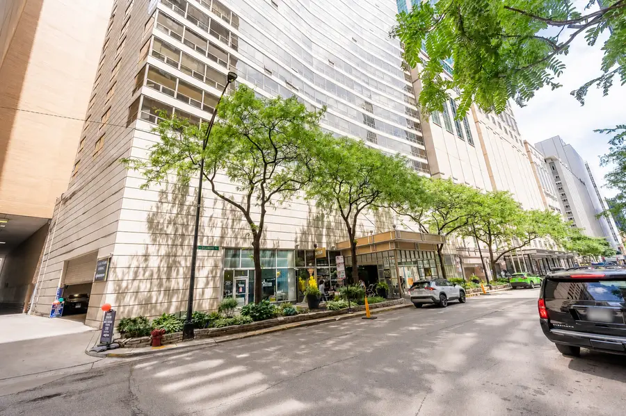 110 E Delaware Place #1702, Chicago, IL 60611 - #2