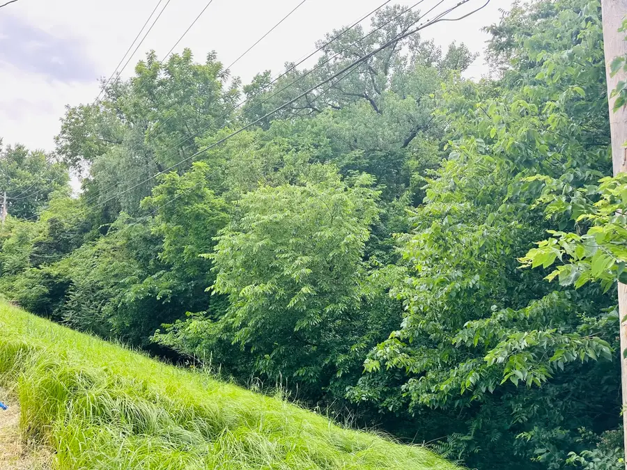 Lot 448 10th Street, Silvis, IL 61282 - #2