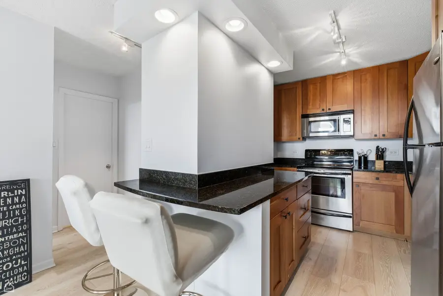 450 W Briar Place #10H, Chicago, IL 60657 - #3