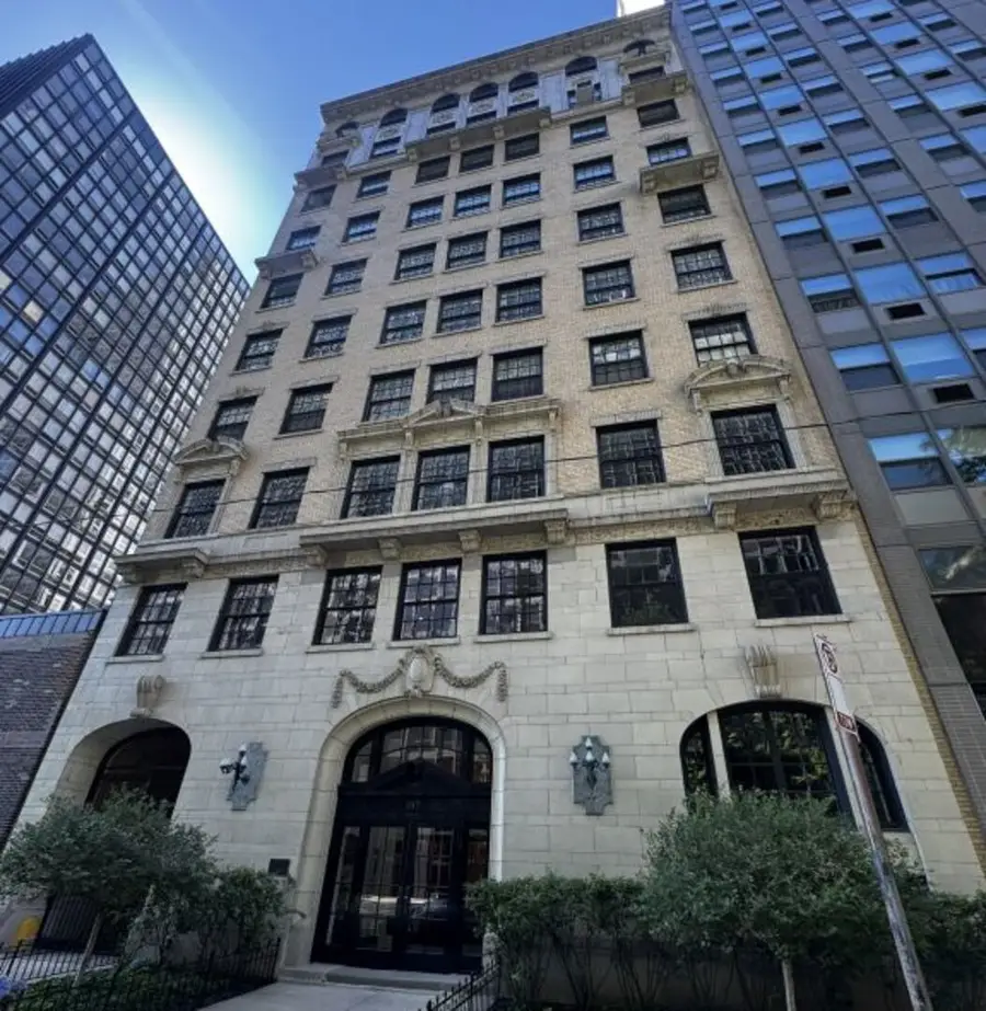 257 E Delaware Place #1A2A, Chicago, IL 60611 - #3