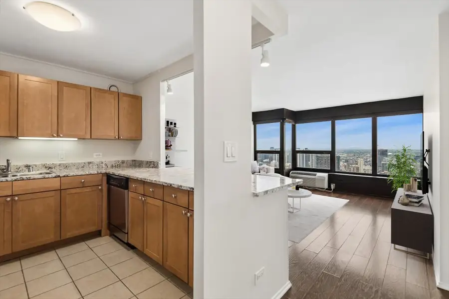 30 E Huron Street #4905, Chicago, IL 60611 - #3