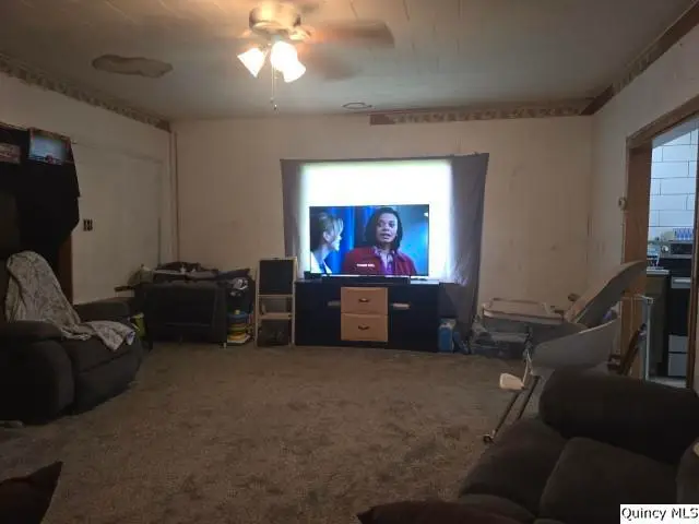212 E Douglas, Sciota, IL 61475 - #3