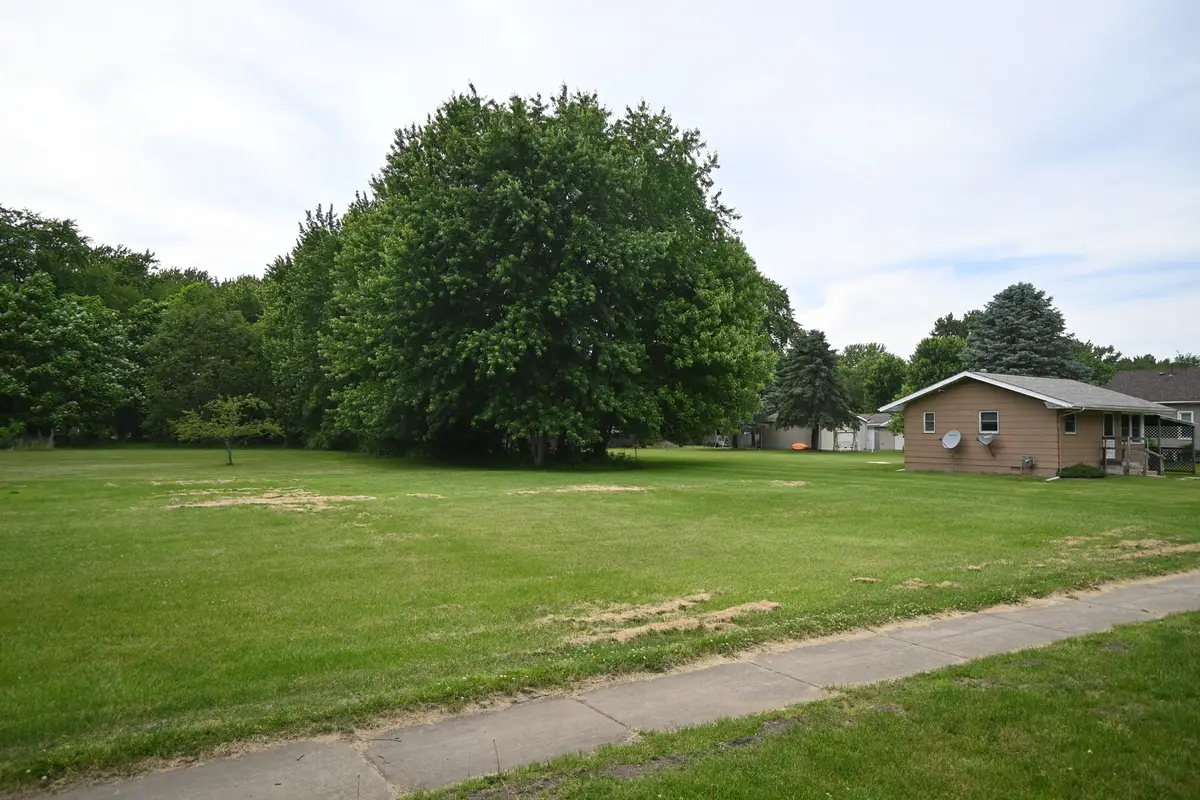 285 N Mitchell Street, Braidwood, IL 60408 - #1