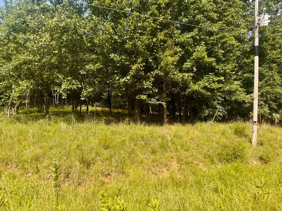 000 Shawnee Drive, Goreville, IL 62939 - #3