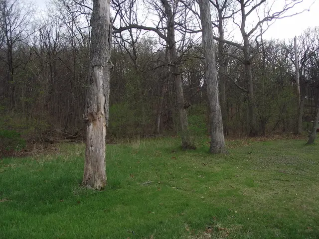 lot 012 Tuscola Avenue, Saint Charles, IL 60174 - #1