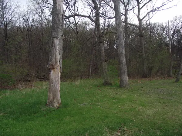 lot 012 Tuscola Avenue, St. Charles, IL 60174