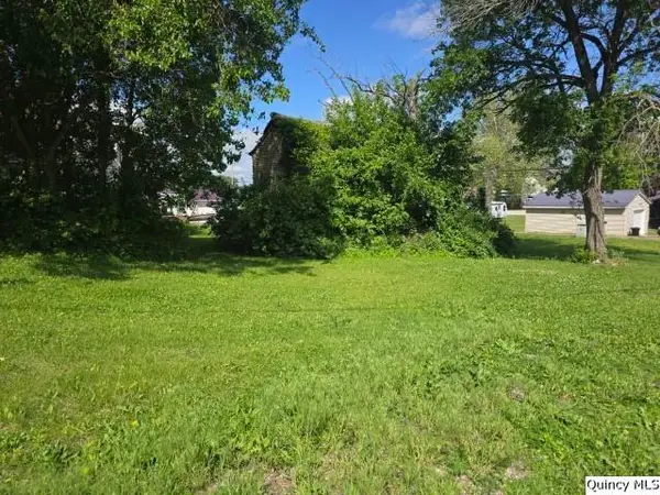 Corner of 4th & Cedar Street, Dallas City, IL 62330