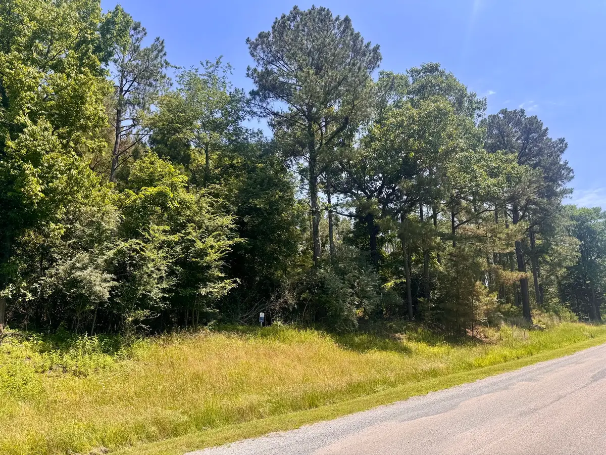 Lot 273 & 274 Rocky Point Road, Goreville, IL 62939 - #1