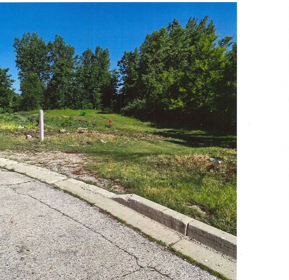 Lot 1 Richmond Road N, McHenry, IL 60050 - #1