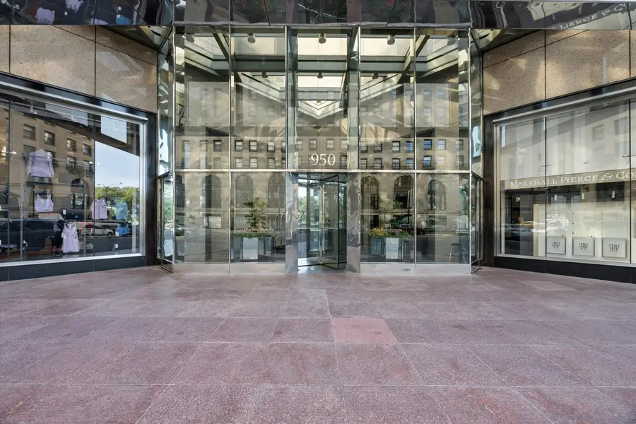 950 N Michigan Avenue #4202, Chicago, IL 60611 - #2