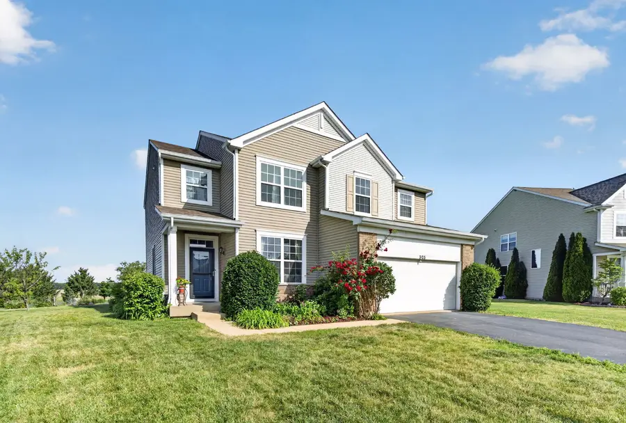 905 Avalon Way, Minooka, IL 60447 - #2