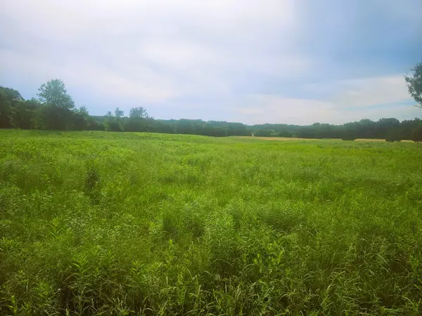 0000 N Stanford Lane, Opdyke, IL 62872