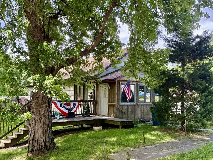 1223 St Paul Street, Depue, IL 61322 - #2