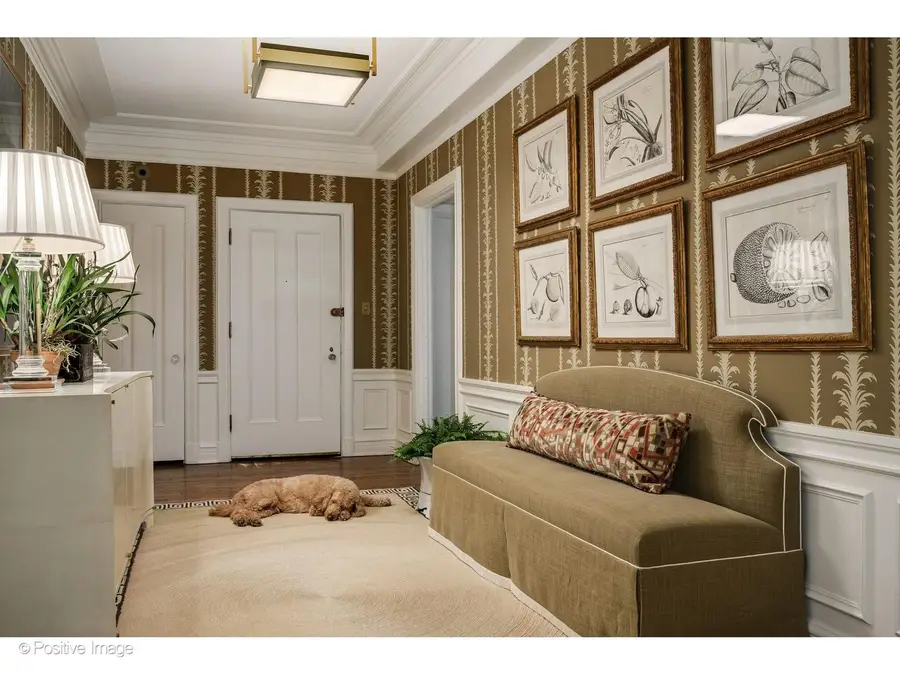 230 E Delaware Place #4W, Chicago, IL 60611 - #3