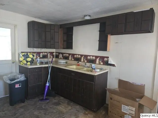 65 E 3rd Street, Dallas City, IL 62330 - #2