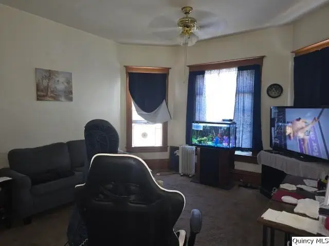 80 W 4th Street, Dallas City, IL 62330 - #2
