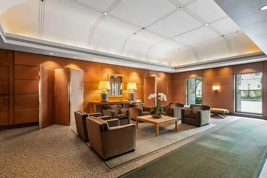 161 E Chicago Avenue #52F, Chicago, IL 60611 - #2