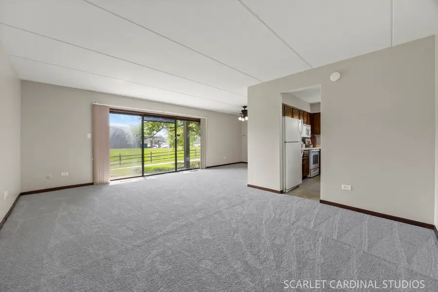 6223 Lake Park Lane #B, Willowbrook, IL 60527 - #2