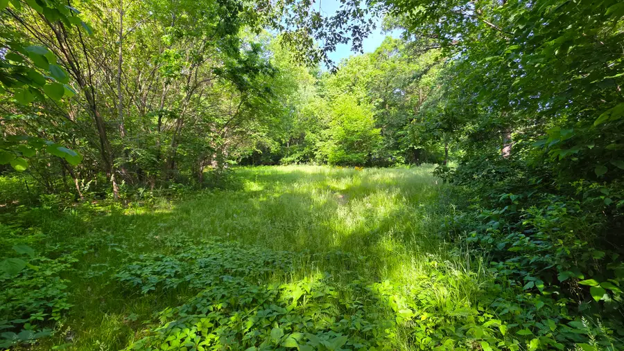 Lot 13 S Egyptian Trail, Monee, IL 60449 - #2