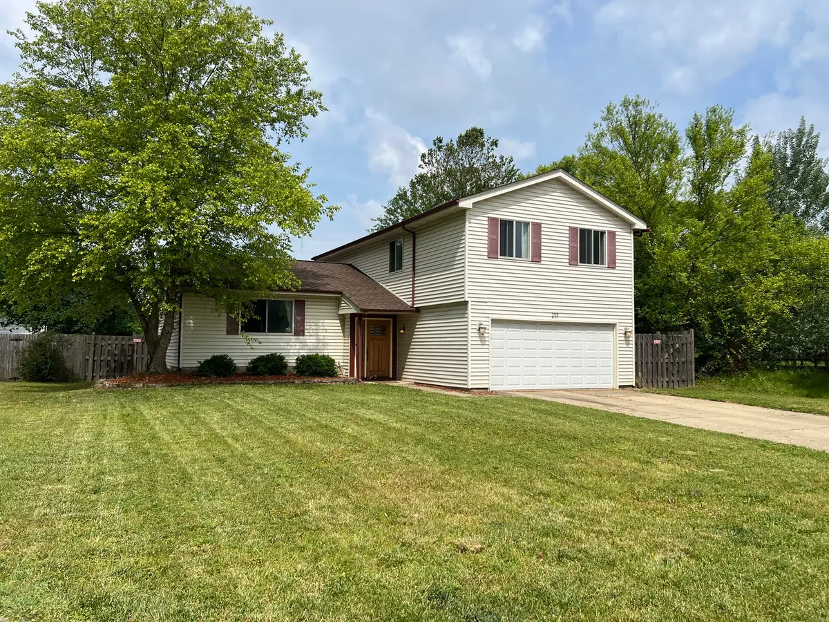 237 Aspen Drive, Bolingbrook, IL 60440 - #1