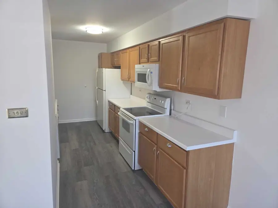 3360 184th Street #1E, Homewood, IL 60430 - #3