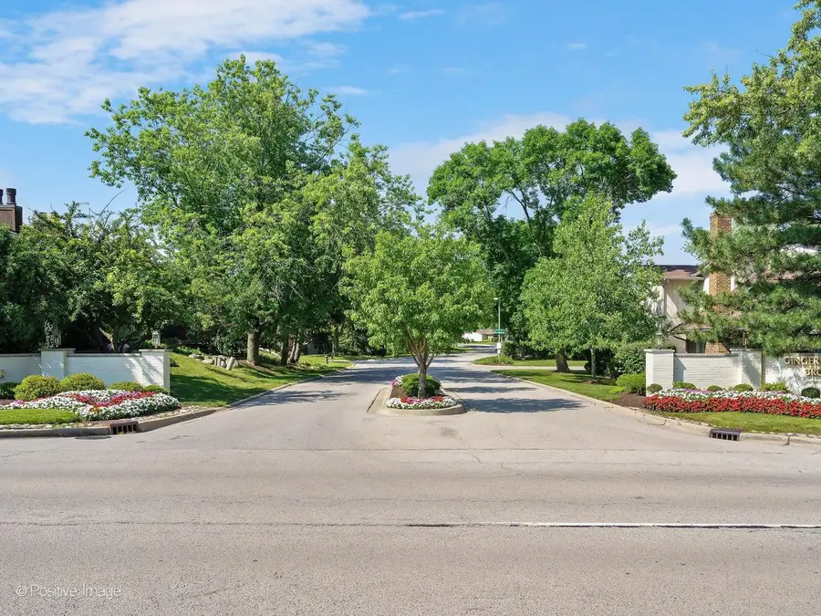 19W182 Ginny Lane E #182, Oak Brook, IL 60523 - #3