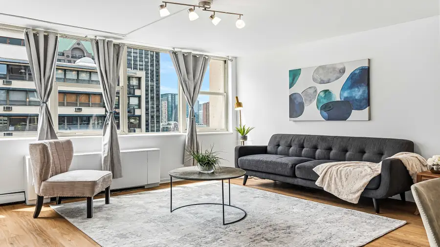 40 E Cedar Street #18A, Chicago, IL 60611 - #3