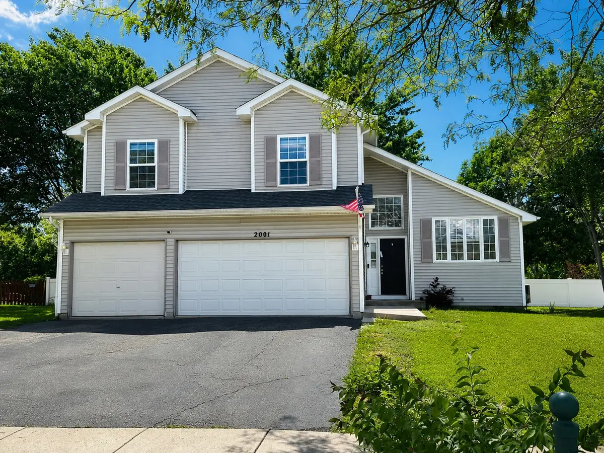 2001 Gray Hawk Drive, Plainfield, IL 60586 - #1