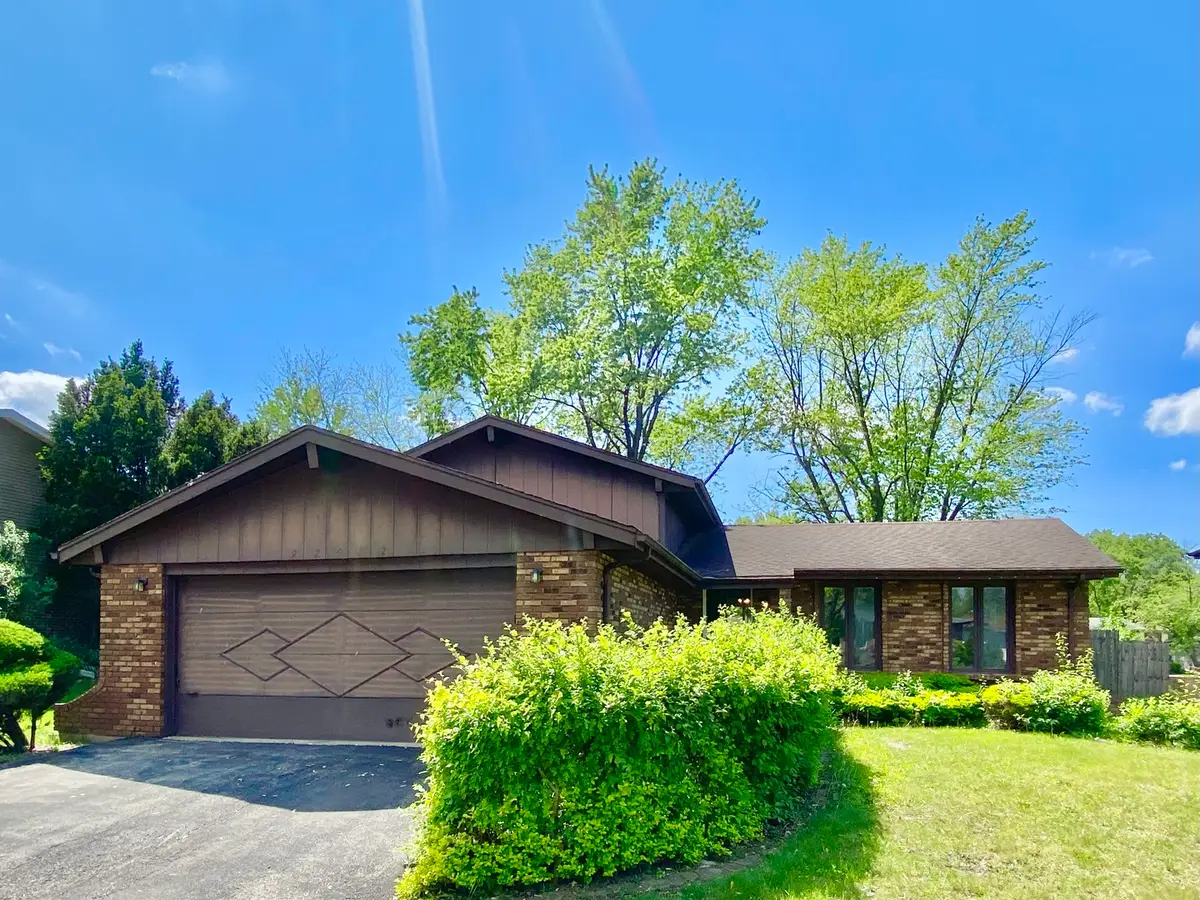22962 Bruce Drive, Richton Park, IL 60471 - #1