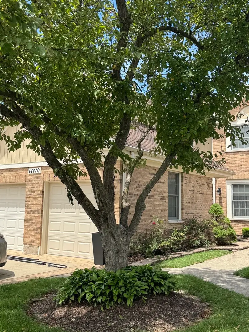 14410 Crystal Tree Drive, Orland Park, IL 60462 - #3