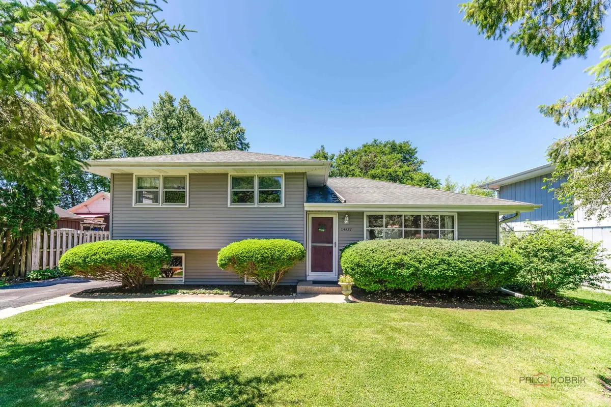 1407 Washington Street, Lake In The Hills, IL 60156 - #1