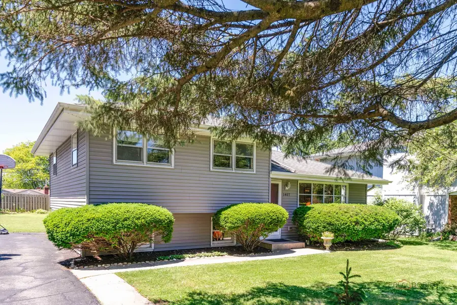 1407 Washington Street, Lake In The Hills, IL 60156 - #3