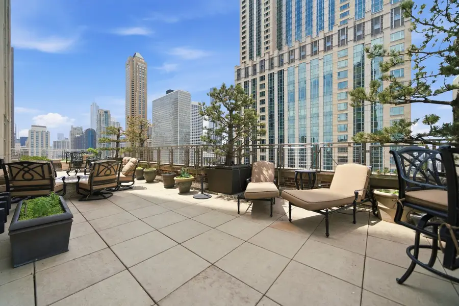 159 E Walton Place #22A, Chicago, IL 60611 - #3