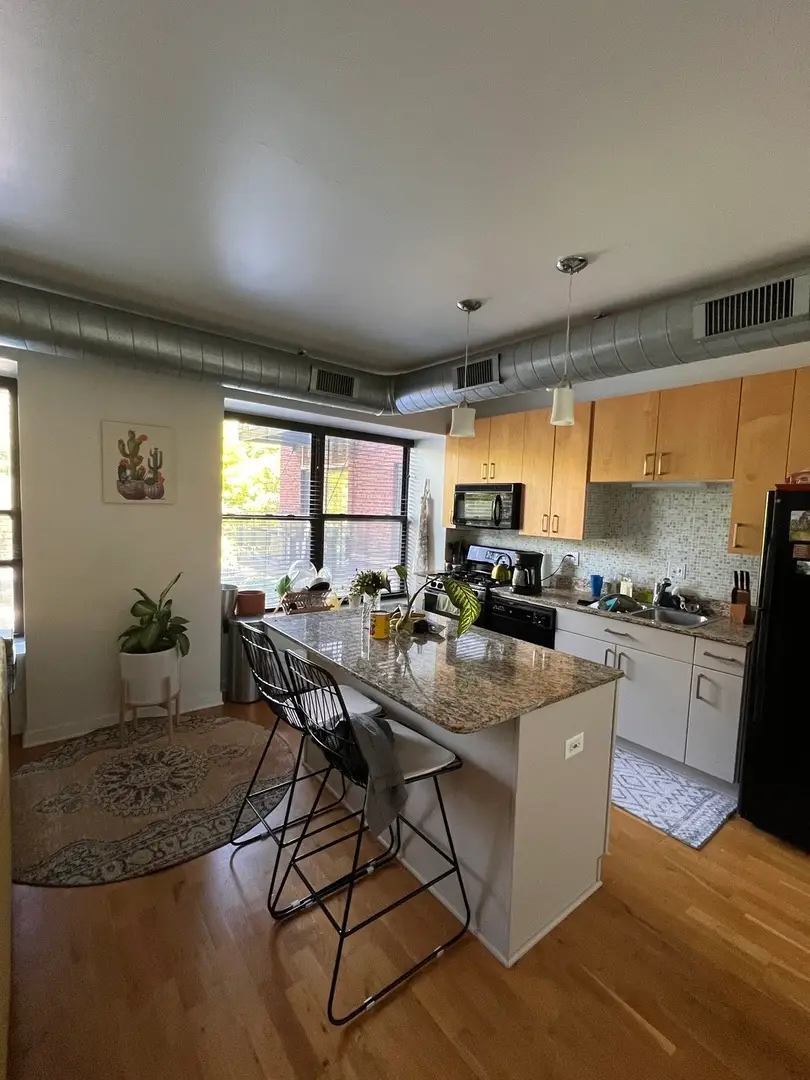 4537 S Drexel Boulevard #203, Chicago, IL 60653 - #3