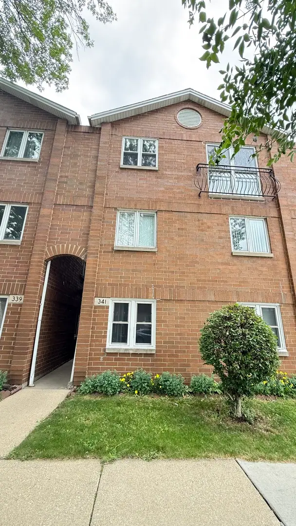 341 W 24th Street #3, Chicago, IL 60616 - #1